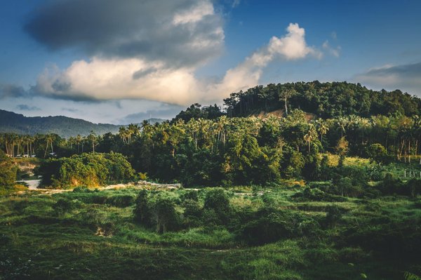 les services de gestion de l'image de marque pour renforcer votre notoriété