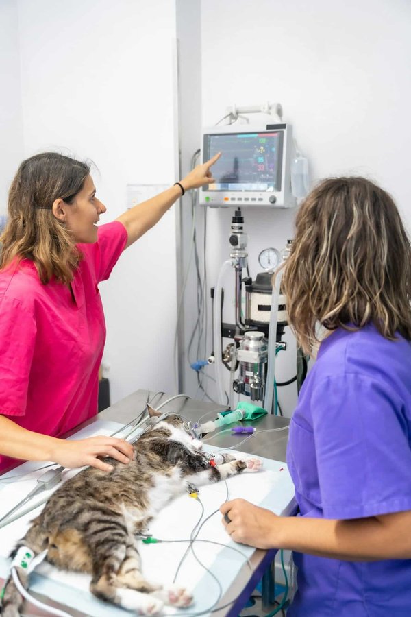 Guide pratique : assistance SIVEP du port de Calais